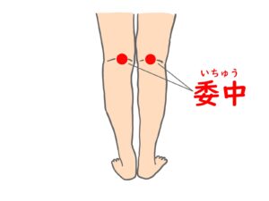 膝裏から腰へ効く有名なツボ委中を示したイラスト。