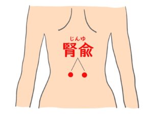 冷えやだるさ・腰がこわばる人に関係するツボ腎兪を示したイラスト。